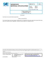 SAE AMS3731/6C PDF