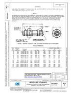 SAE AS21923C PDF