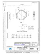 SAE AS5355/1B PDF