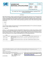 SAE AMS3255B PDF