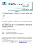 SAE AMS6407K PDF