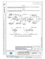 SAE AS81969/30A PDF