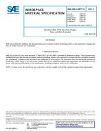 SAE AMSQQA200/13C PDF