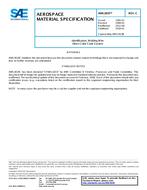 SAE AMS2819C PDF