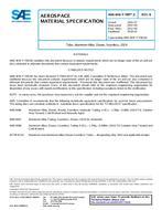 SAE AMSWWT700/3B PDF