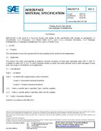 SAE AMS2451/9C PDF