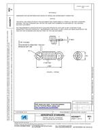 SAE AS24586C PDF