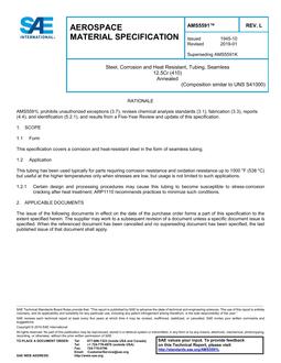 SAE AMS5591L PDF