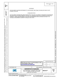 SAE AS3123B PDF