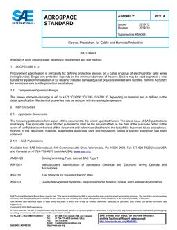 SAE AS60491A PDF