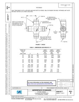 SAE AS6103B PDF