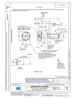 SAE AS3113B PDF