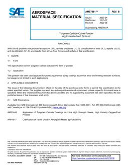 SAE AMS7881B PDF