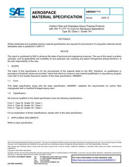 SAE AMS6891/1 PDF