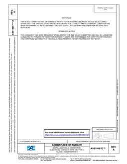 SAE AS81969/13A PDF