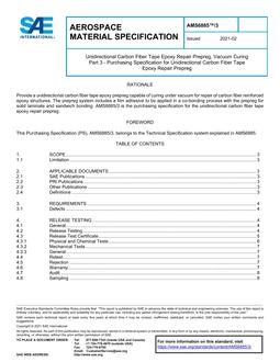 SAE AMS6885/3 PDF