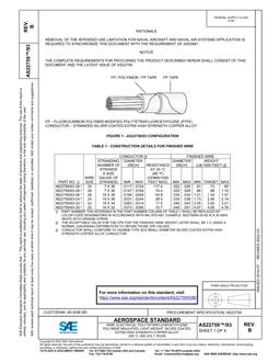 SAE AS22759/93B PDF