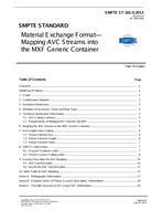 SMPTE ST 381-3:2013 PDF