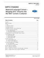 SMPTE ST 381-3 PDF