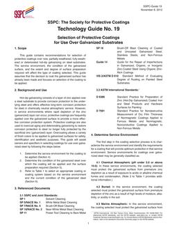 SSPC Guide 19 PDF